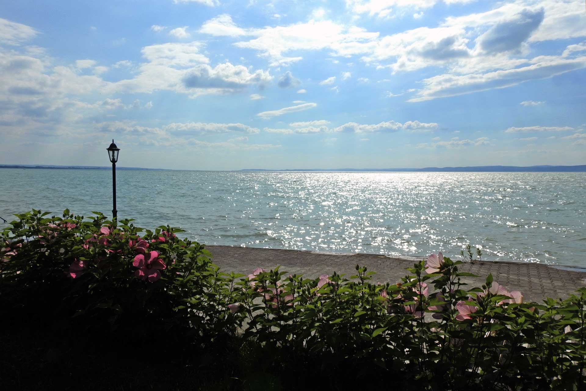 Vízparti nyaraló, a Balatonnál eladó