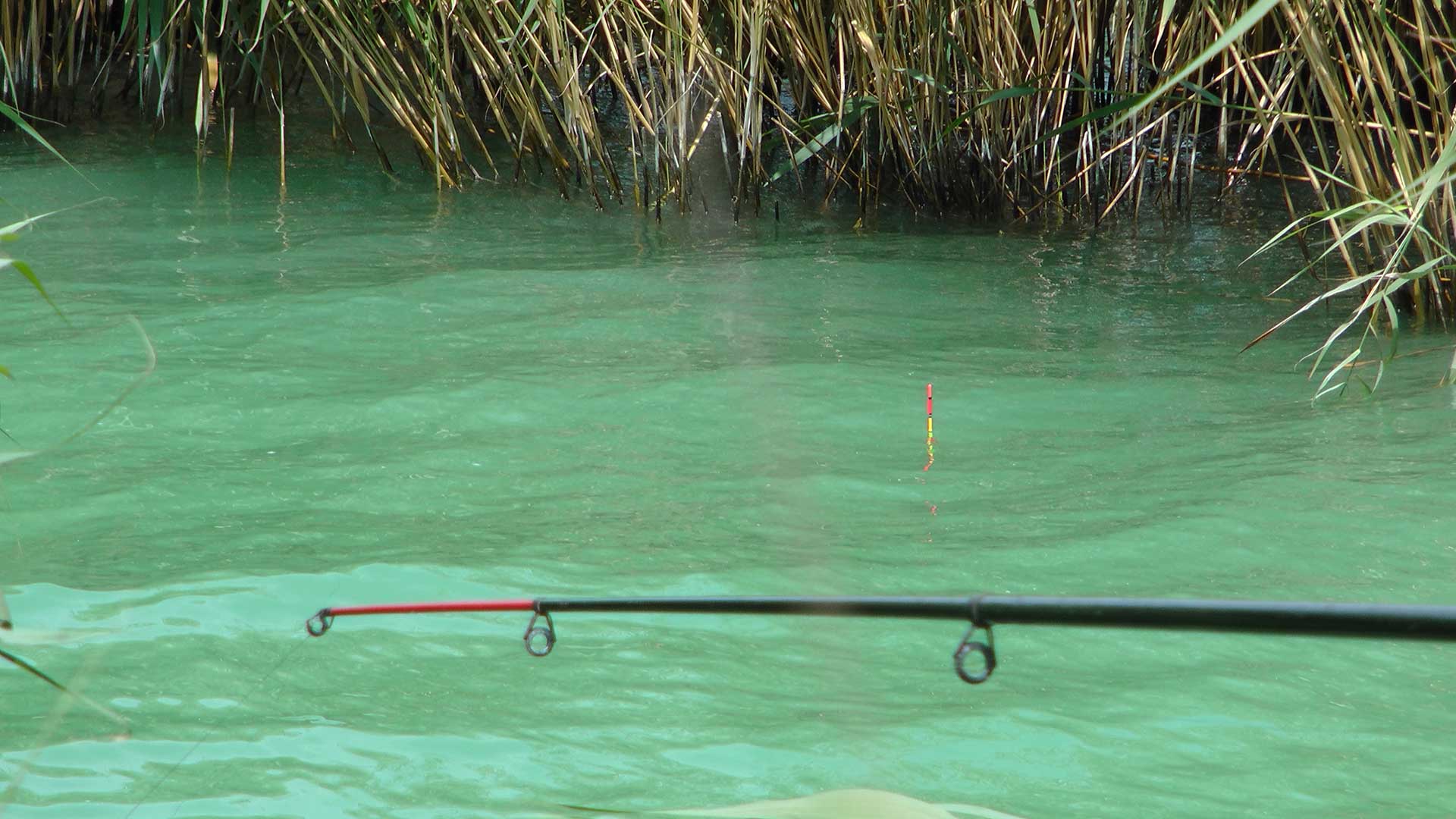 A Balaton északi partján, közvetlen vízparti nyaraló, eladó