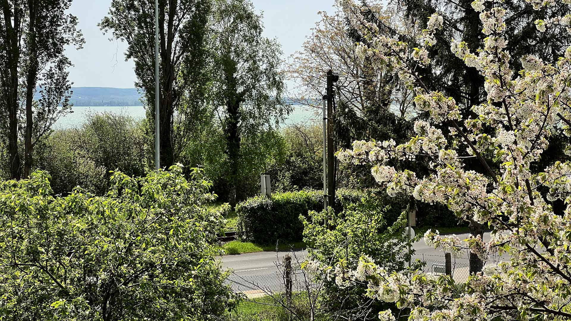 A telek elé már nem építkezhetnek, a vízparti jelleg távlatban is megmarad