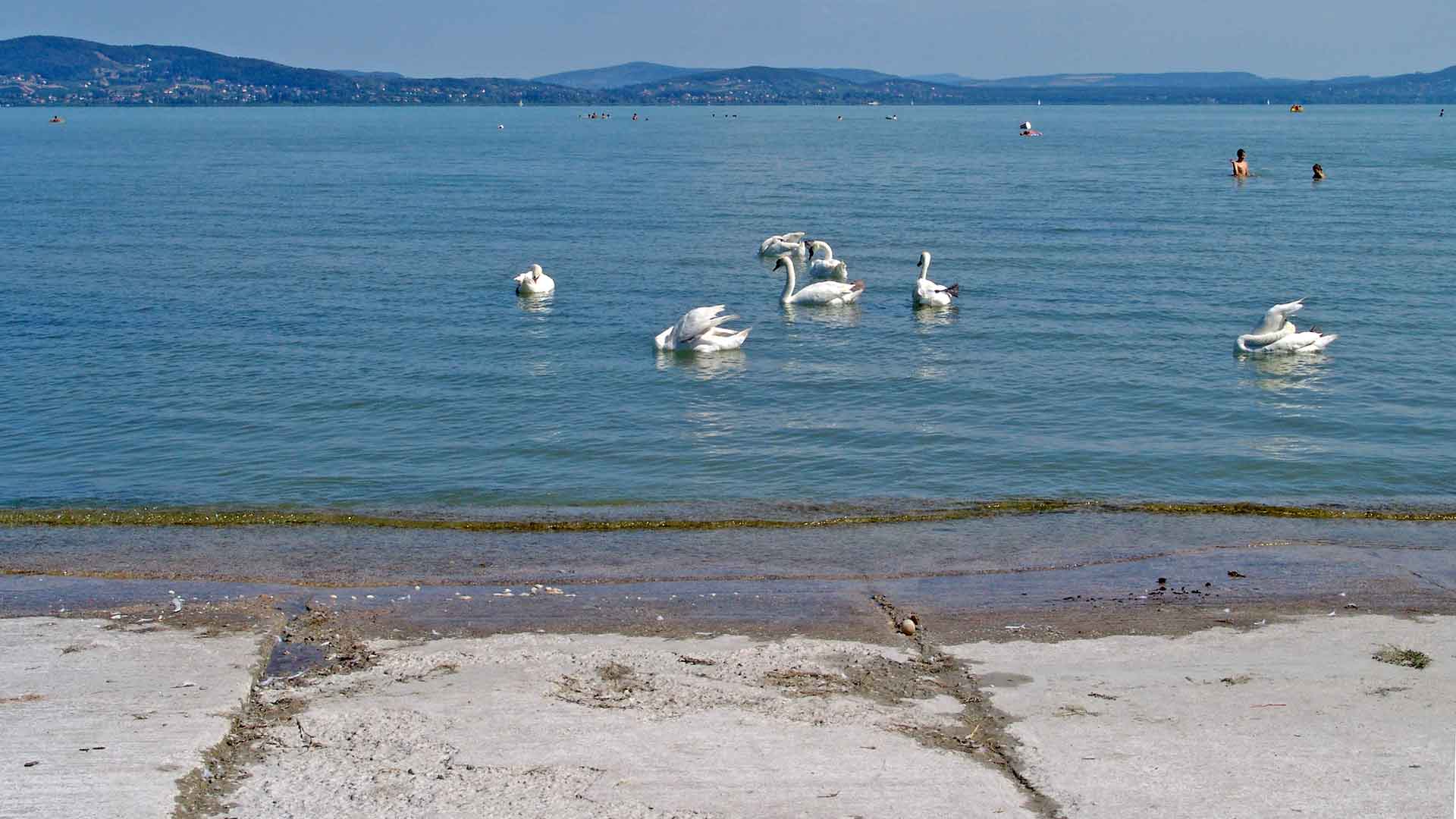 A kép, a Balaton part, egy alacsony hajlásszögű partvédőművét ábrázolja