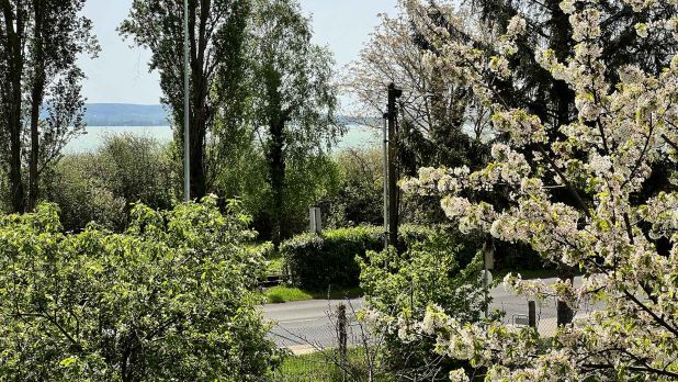 A telek elé már nem építkezhetnek, a vízparti jelleg távlatban is megmarad A telek elé már nem építkezhetnek, a vízparti jelleg távlatban is megmarad