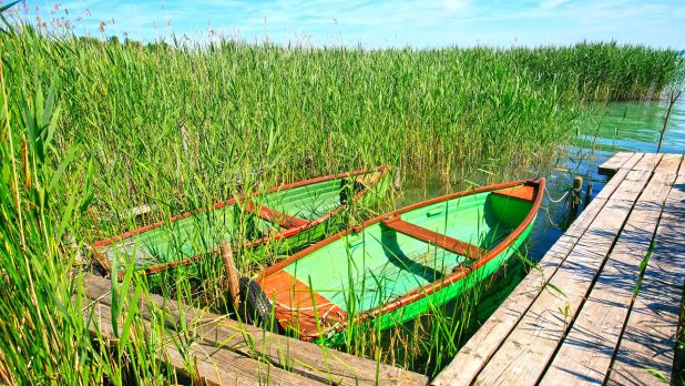 Vevő a Balaton partjához gyalogosan hozzáfér, bele tud menni a Balatonba, fürödhet, horgászhat, tarthat csónakot, vízi sporteszközöket