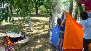 Balaton déli partján, közvetlen vízparti telek eladó